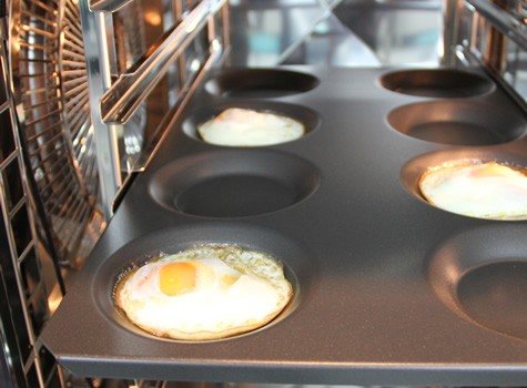 Egg Tray